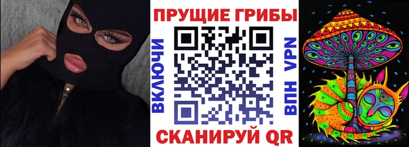kraken как зайти  мориарти состав  Галлюциногенные грибы прущие грибы  Макушино 